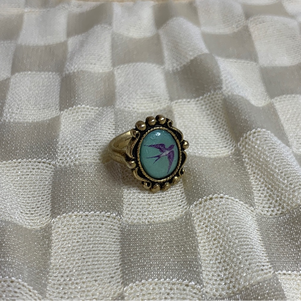 Swallow bird ring